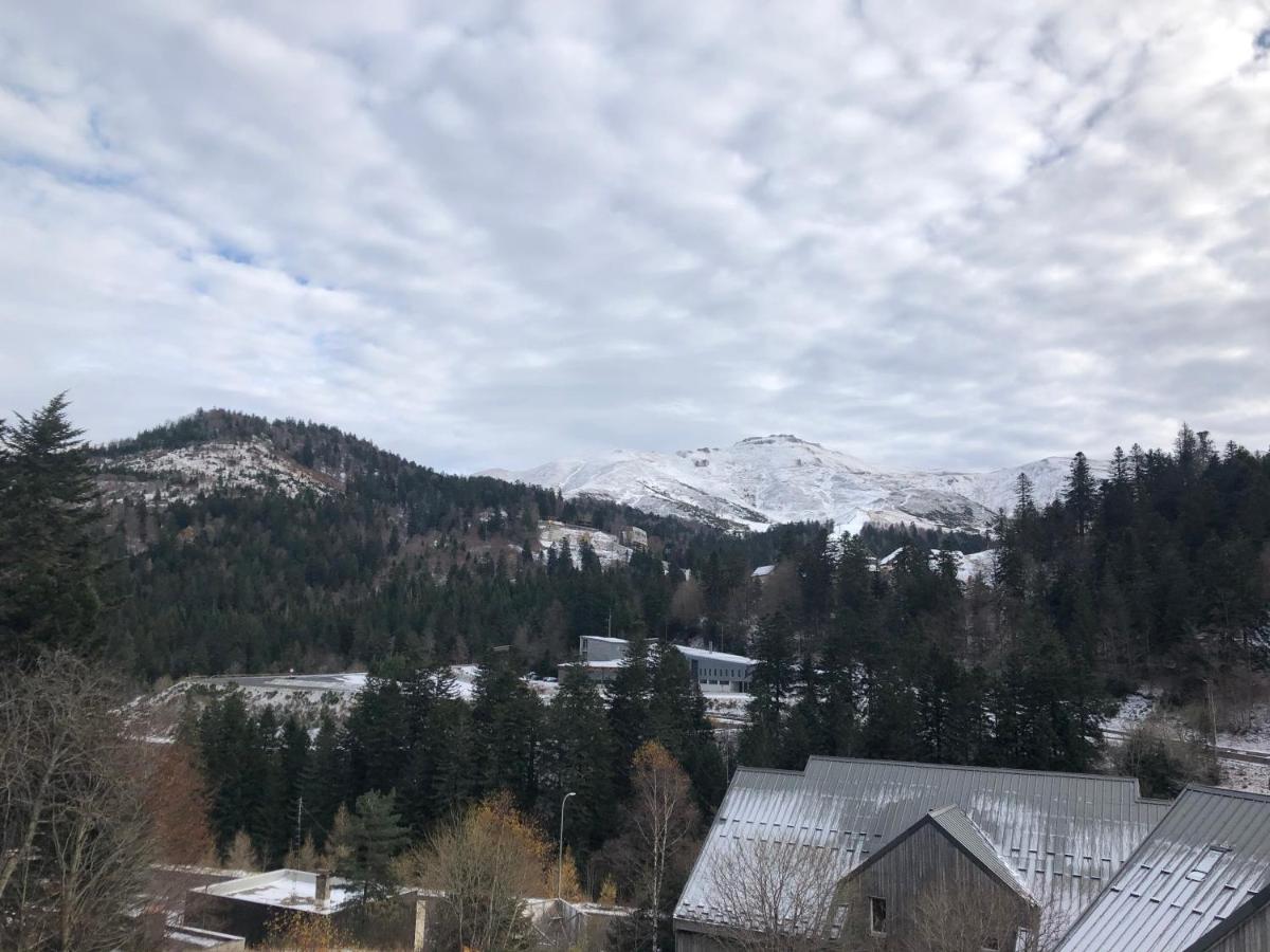 Appartement Aux Pieds Des Pistes De Ski Laveissière Esterno foto